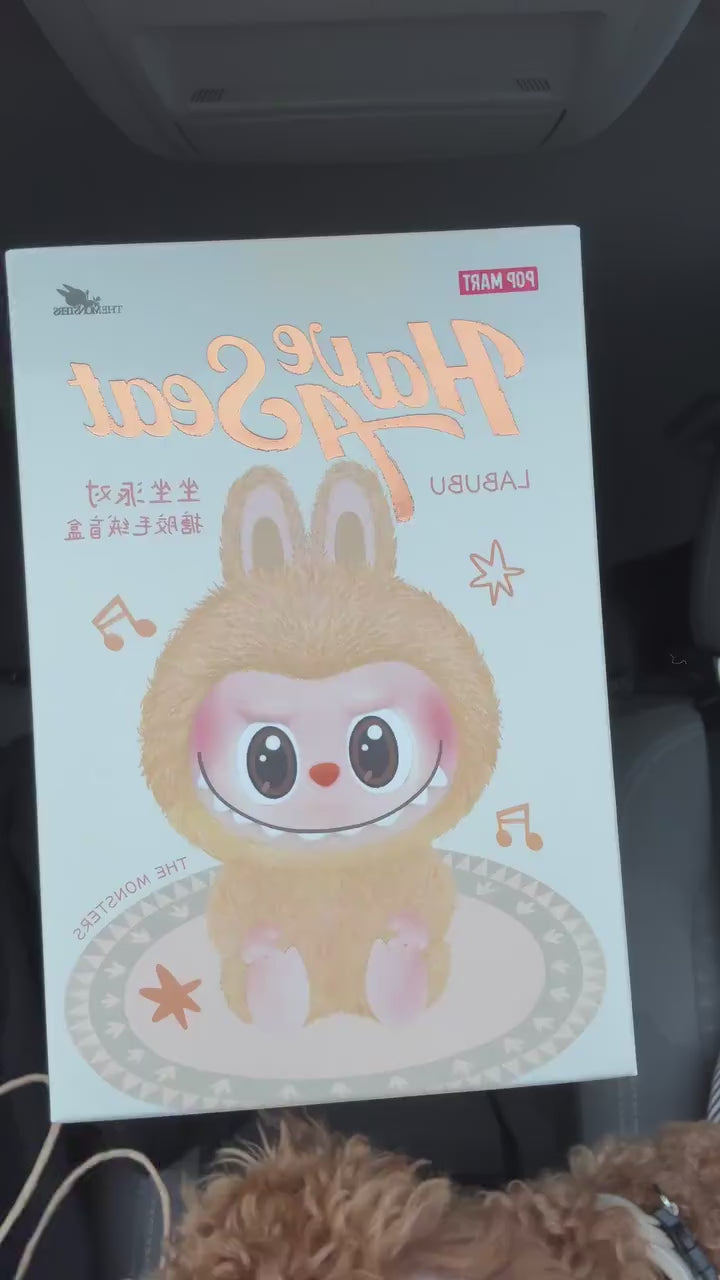 LABUBU BIG INTO ENERGY BLIND BOX Pack Of 1 – Happyaza